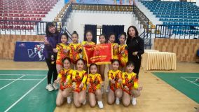 Hội khỏe phù đổng 2023