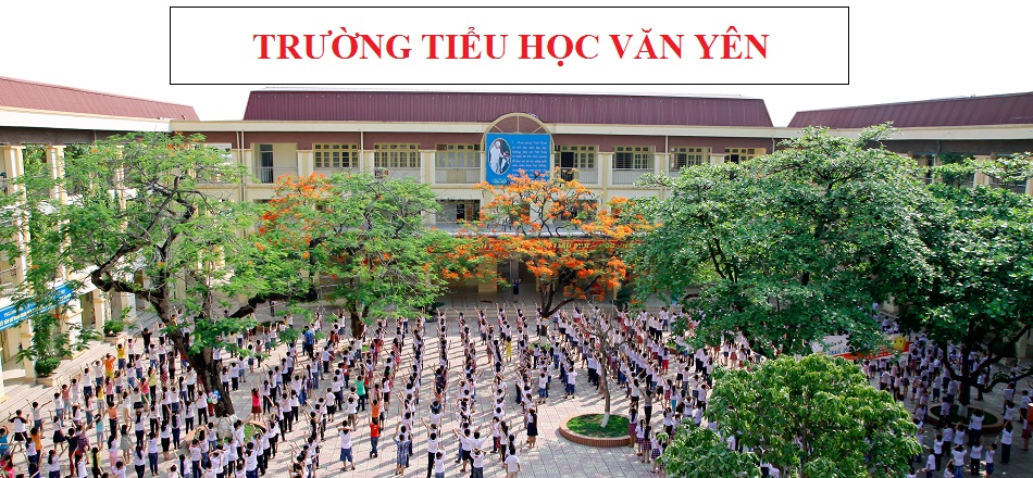 Ảnh 2